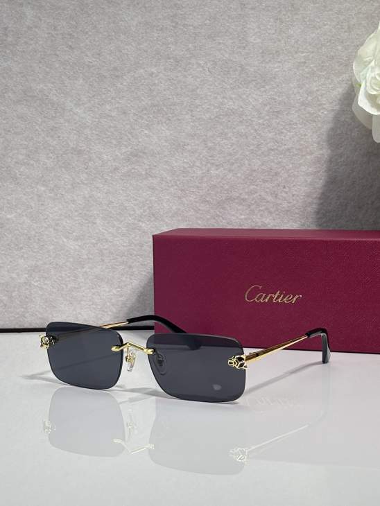 Picture of Cartier Sunglasses _SKUfw79759922fw